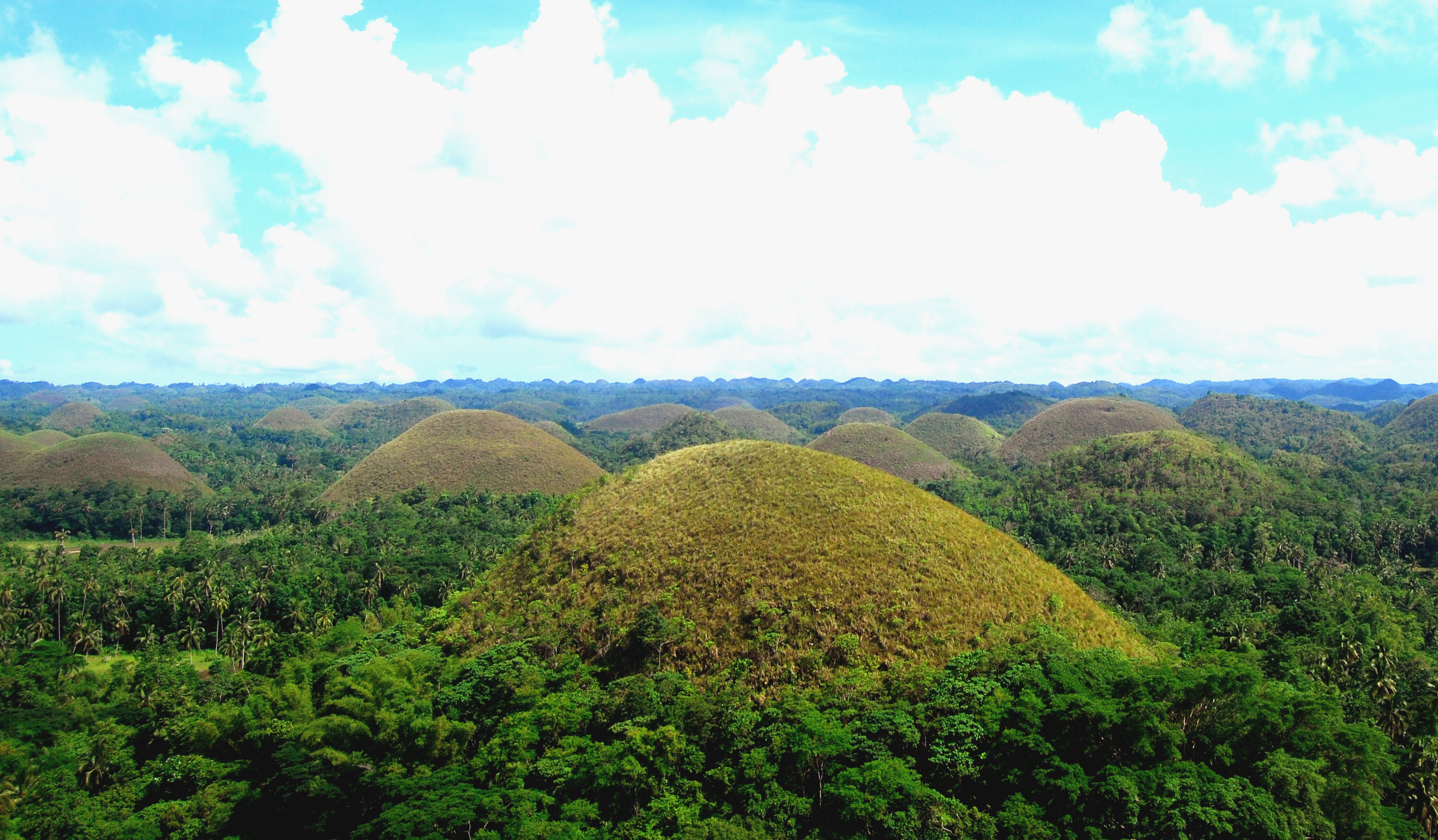 Bohol 